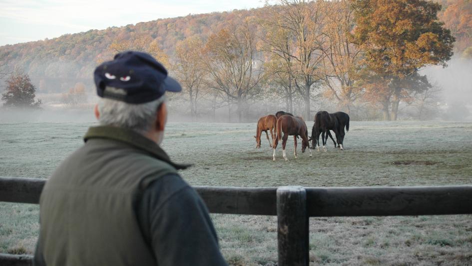 Frank Stella, Artist, Scuptor, Owner, Breeder, Delehanty Stock Farm, Martin Francis